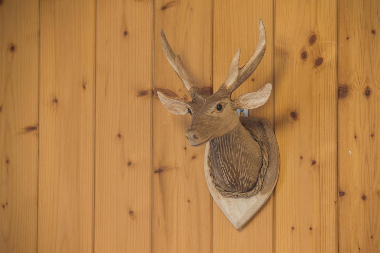 Chalet Sunneblick Grindelwald Kültér fotó