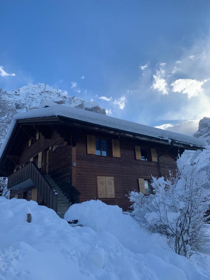 Chalet Sunneblick Grindelwald Kültér fotó