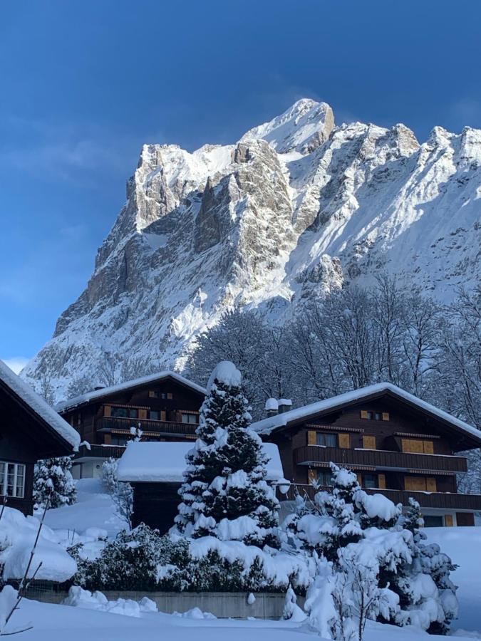 Chalet Sunneblick Grindelwald Kültér fotó