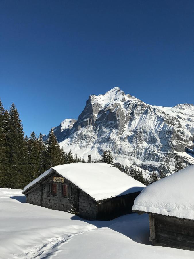 Chalet Sunneblick Grindelwald Kültér fotó