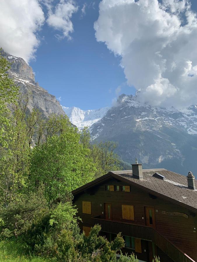 Chalet Sunneblick Grindelwald Kültér fotó